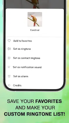 Bird Calls, Sounds & Ringtones screenshot 4