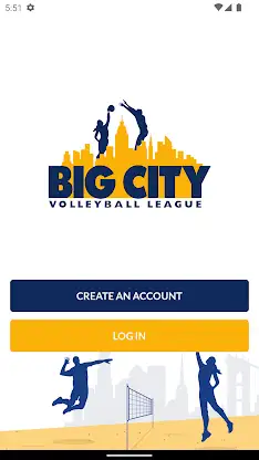 Big City Volleyball screenshot 1