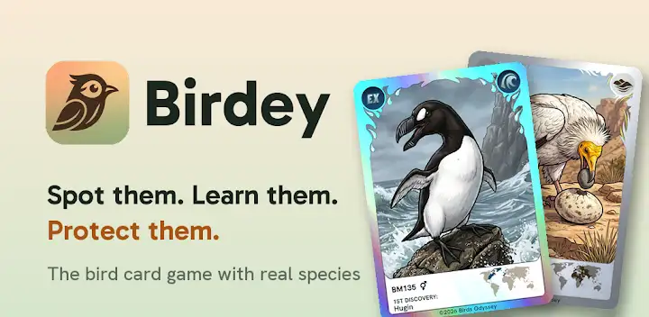 Birdey: Real Bird Card Game — Android game banner