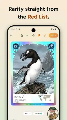 Birdey: Real Bird Card Game screenshot 3