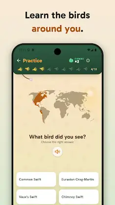 Birdey: Real Bird Card Game screenshot 2