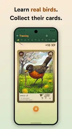 Birdey: Real Bird Card Game screenshot 1
