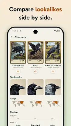 Birdey: Real Bird Card Game screenshot 6