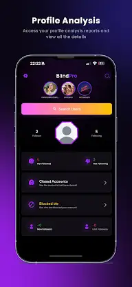 BlindPro - IG Analysis Private screenshot 2