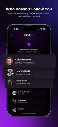 BlindPro - IG Analysis Private screenshot 4
