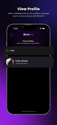 BlindPro - IG Analysis Private screenshot 3