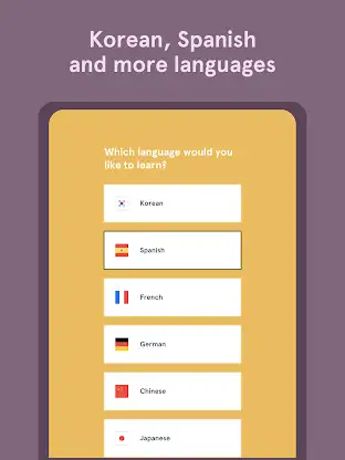 Bunpo: Language Learning screenshot 10