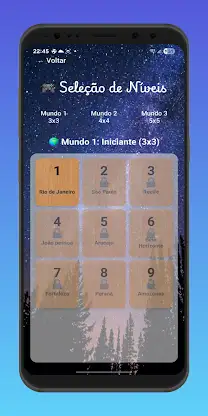 Quebra Cabeça dos Inteligentes screenshot 2