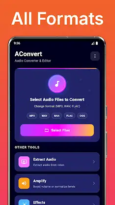 Audio Converter: OGG FLAC MP3 screenshot 1