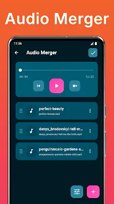 Audio Merger and MP3 Joiner screenshot 2