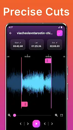 MP3 Cutter and Merger – SOMIX screenshot 2