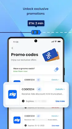 CDG Zig – Taxis & Cars screenshot 3