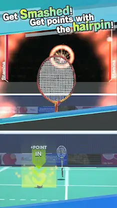 Badminton3D Real Badminton screenshot 4