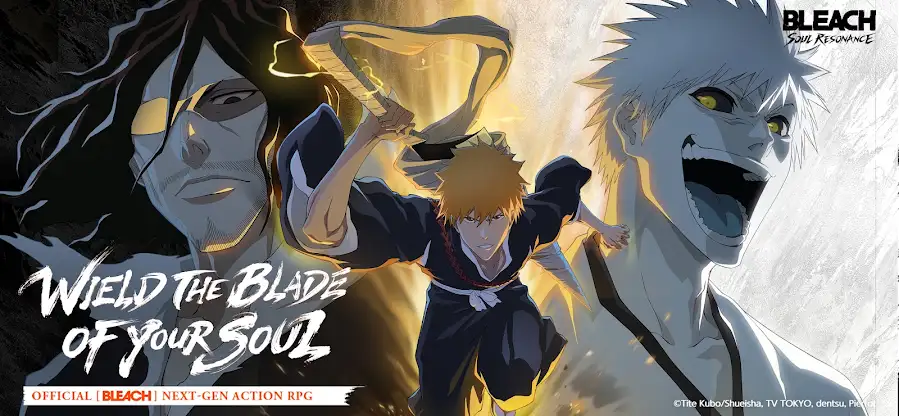 BLEACH: Soul Resonance screenshot 3