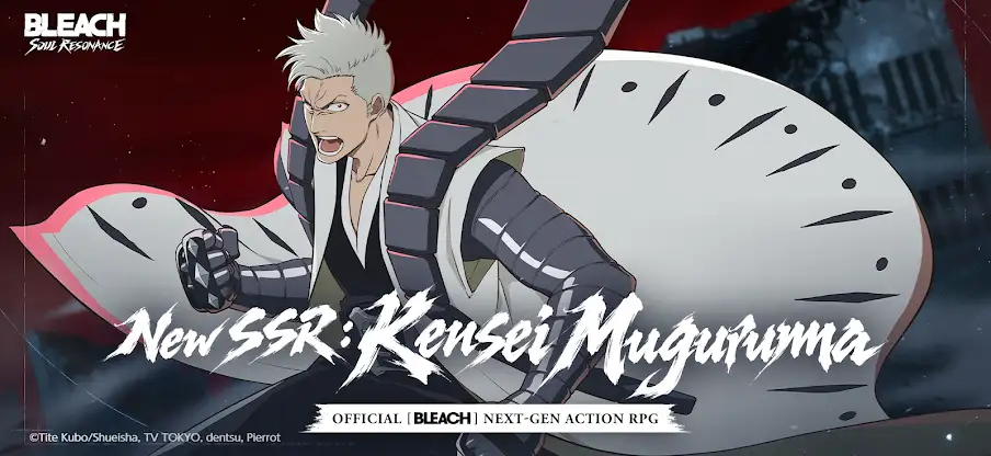 BLEACH: Soul Resonance screenshot 1