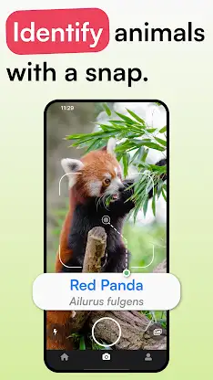 Animal Identifier - iSpecies screenshot 1