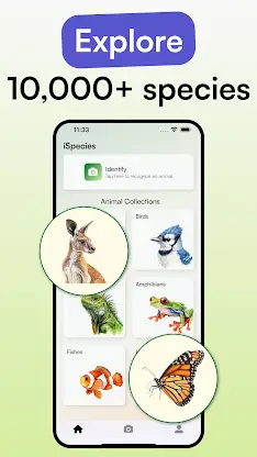 Animal Identifier - iSpecies screenshot 3
