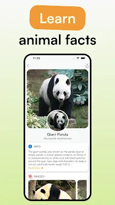 Animal Identifier - iSpecies screenshot 2
