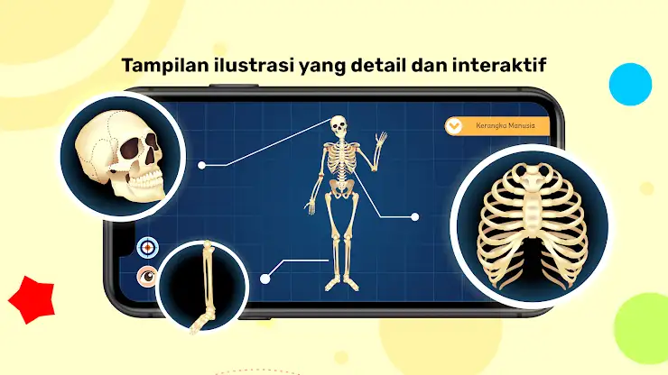 Marbel Anatomi Manusia SD 5 screenshot 4