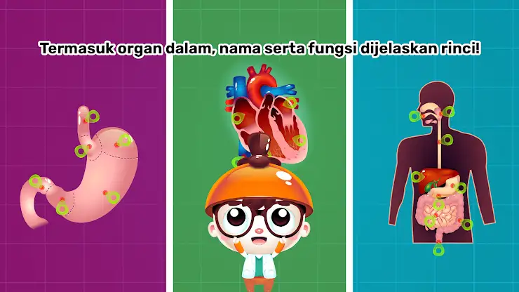 Marbel Anatomi Manusia SD 5 screenshot 6