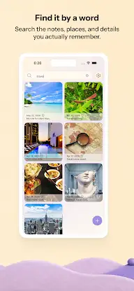 Vismory screenshot 4