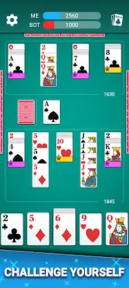 Canasta Card Game screenshot 3