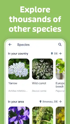Flora Incognita screenshot 6