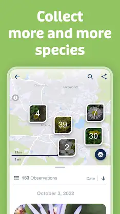 Flora Incognita screenshot 4