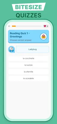 Learn French for Beginners screenshot 7