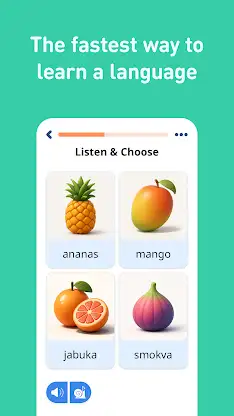 Learn Croatian - 11,000 Words screenshot 2