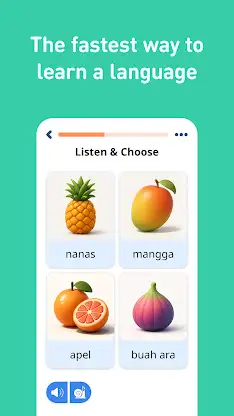 Learn Indonesian - 11000 Words screenshot 2