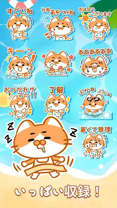 Summer Orange Cat WAStickerApp screenshot 6