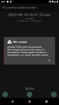 HQ internal audio recorder screenshot 4