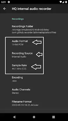 HQ internal audio recorder screenshot 2
