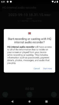 HQ internal audio recorder screenshot 3