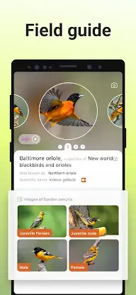 Picture Bird - Bird Identifier screenshot 4