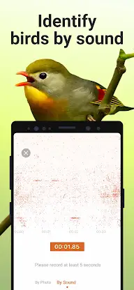 Picture Bird - Bird Identifier screenshot 3