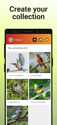 Picture Bird - Bird Identifier screenshot 6