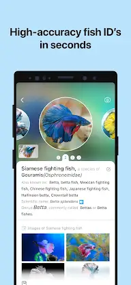 Picture Fish - Fish Identifier screenshot 3