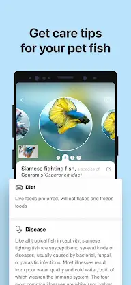 Picture Fish - Fish Identifier screenshot 4
