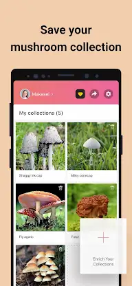 Picture Mushroom - Mushroom ID screenshot 5