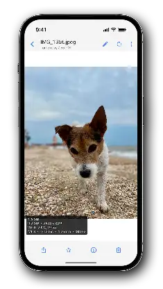 Right Gallery screenshot 7