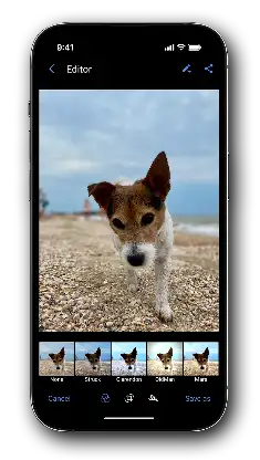 Right Gallery screenshot 8