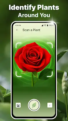 AI Plant Identifier & Scanner screenshot 2