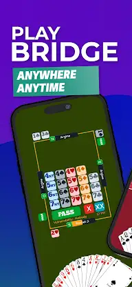 Fun Bridge screenshot 1