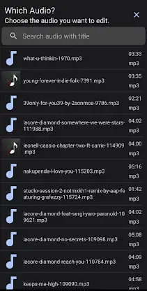 Audio Tag Editor - Mp3 Tagger screenshot 6