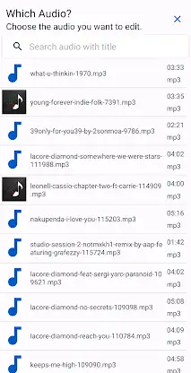 Audio Tag Editor - Mp3 Tagger screenshot 2