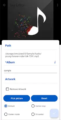 Audio Tag Editor - Mp3 Tagger screenshot 3