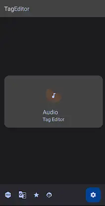 Audio Tag Editor - Mp3 Tagger screenshot 5
