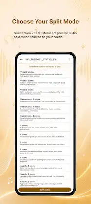 Splitify - Music Vocal Remover screenshot 2